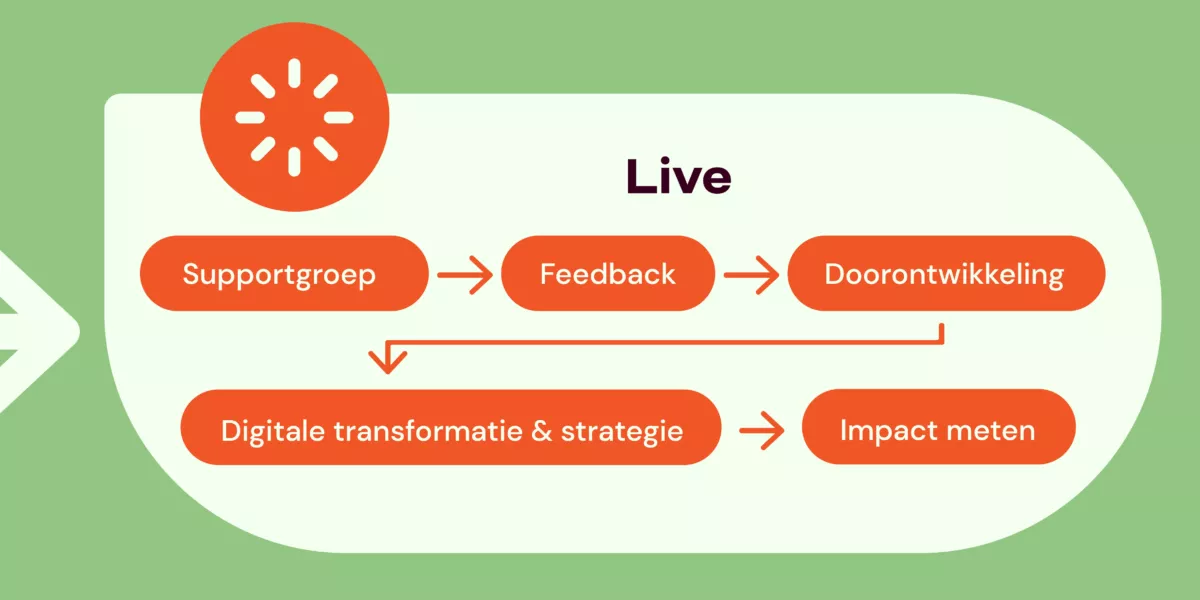 Fases na livegang van een digitaal project: supportgroep, feedback, doorontwikkeling, digitale transformatie & strategie, impact meten