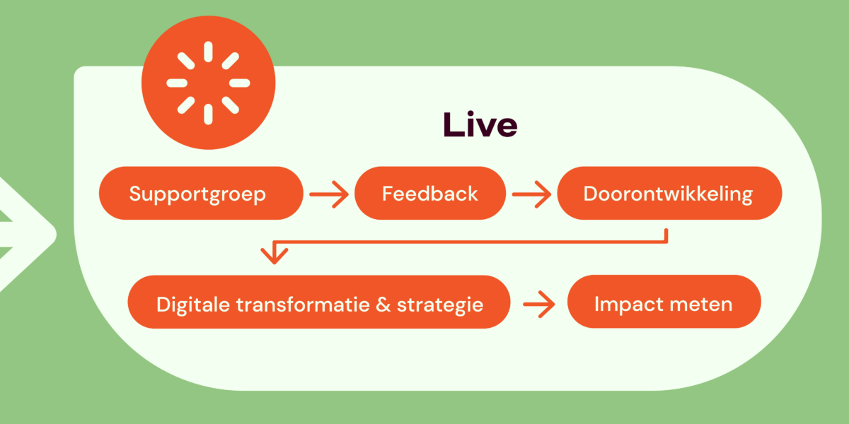 Fases na livegang van een digitaal project: supportgroep, feedback, doorontwikkeling, digitale transformatie & strategie, impact meten