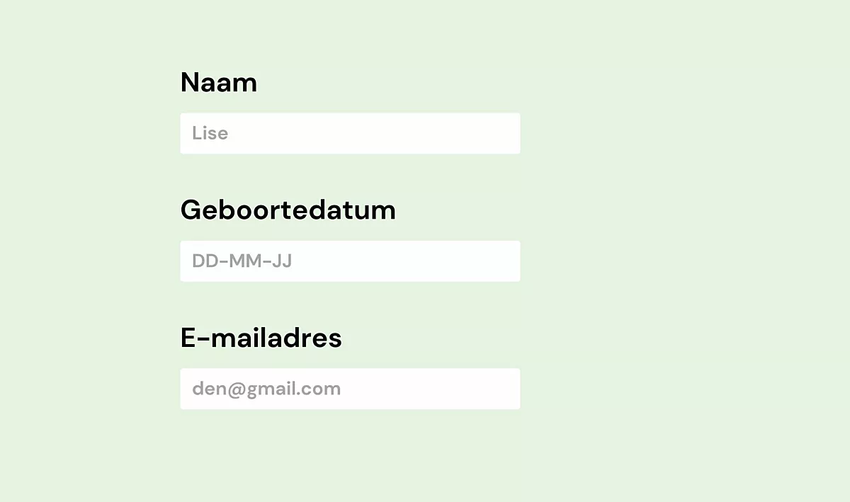 Als de gebruiker een e-mailadres, naam of geboortedatum moet ingeven, geef je het best een voorbeeld van hoe het eruit moet zien zoals bij e-mailadres: naam@gmail.com