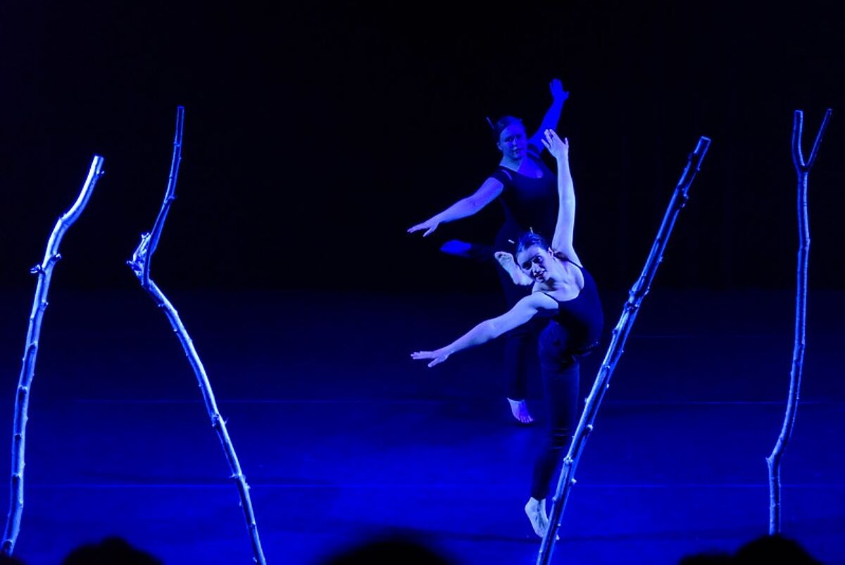 Twee dansers achter elkaar. Ze dansen op één been heb hebben hun armen wijd. Het podium is met blauw licht verlicht. Het decor bestaat uit vier takken.